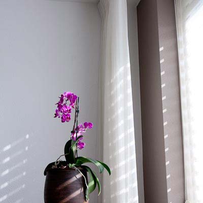 Van der Gaag schilders